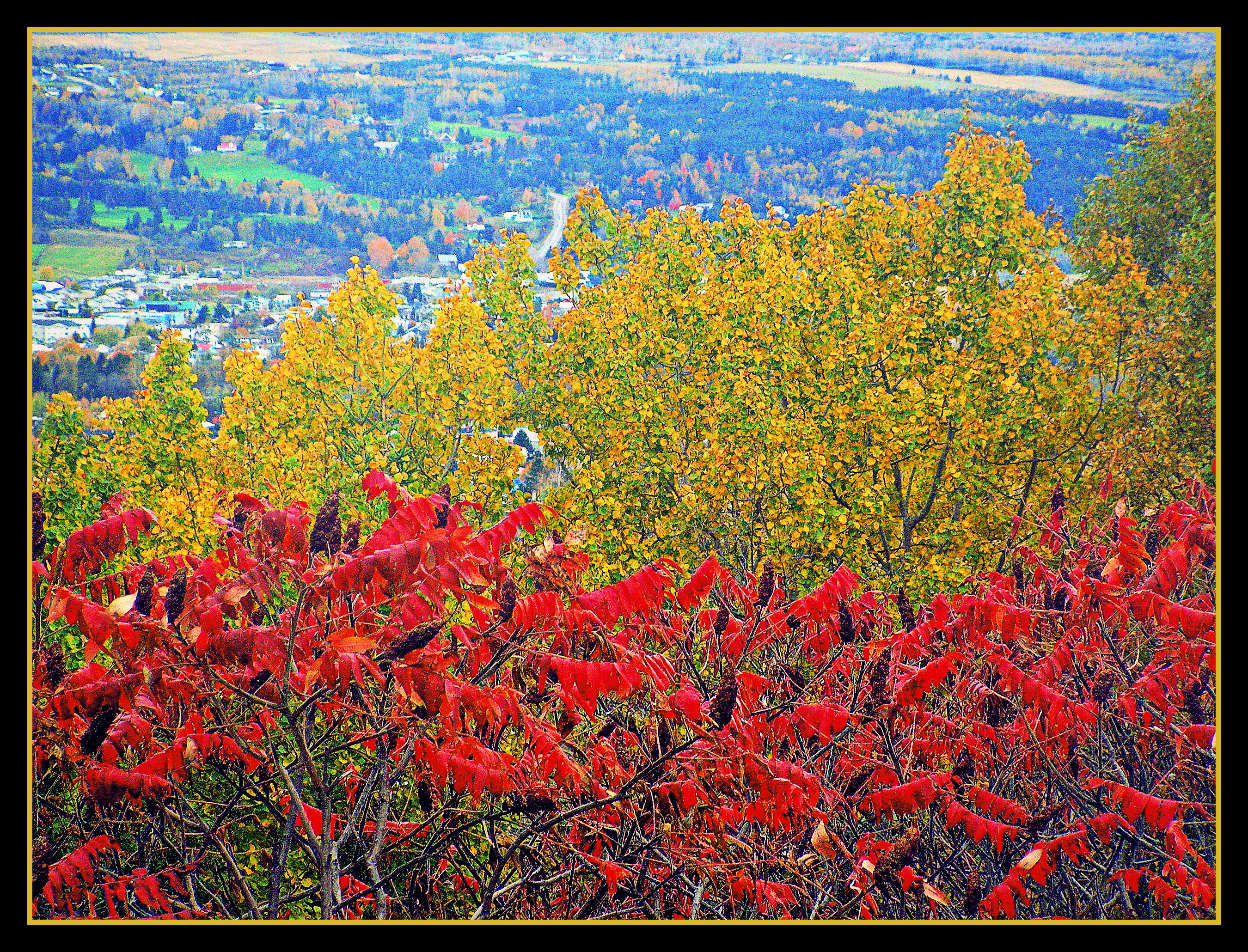 Autumn Colours By The Village