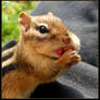 Cute Little Tongue!
