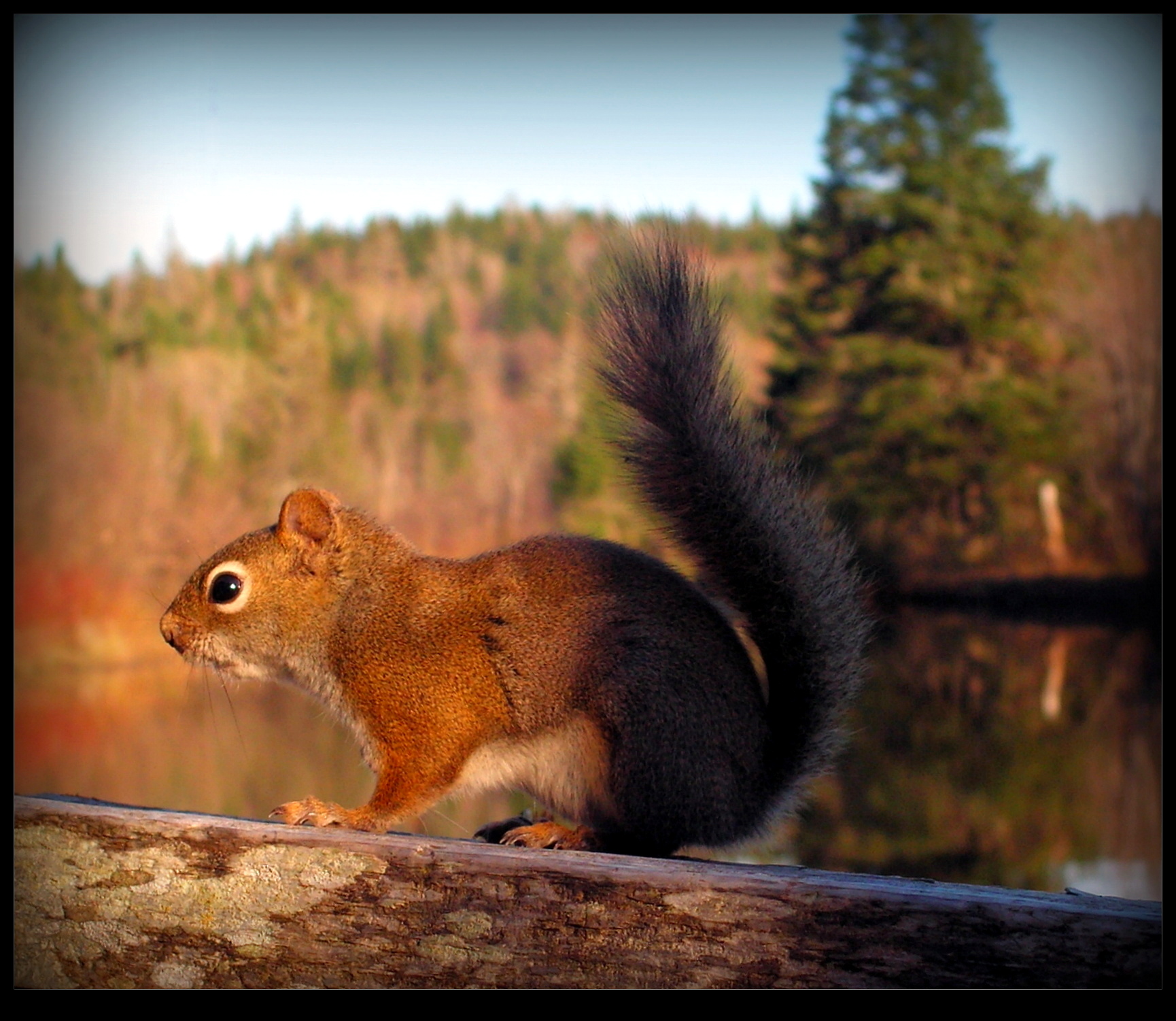 Encounter At Sunset - Light and Shadow