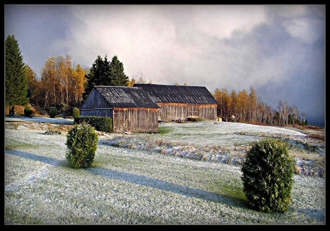 First Snow In October by JocelyneR