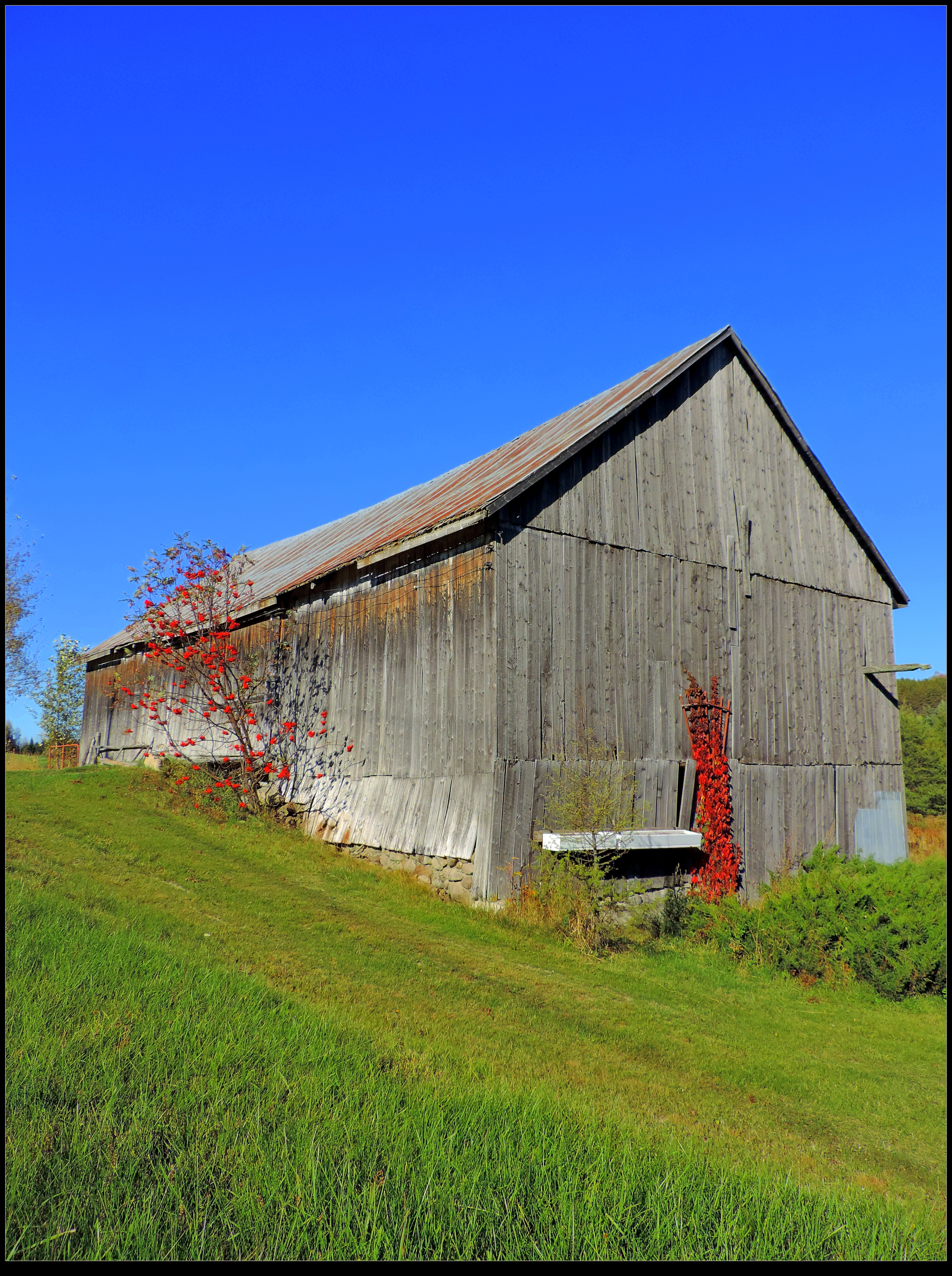 Old Barn in Fall