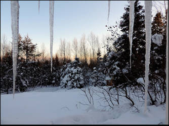 Happy New Year to All! by JocelyneR