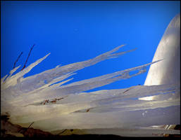 Icicles From Below