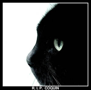 Rest In Peace, Coquin.