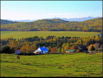 Country Scene in Fall