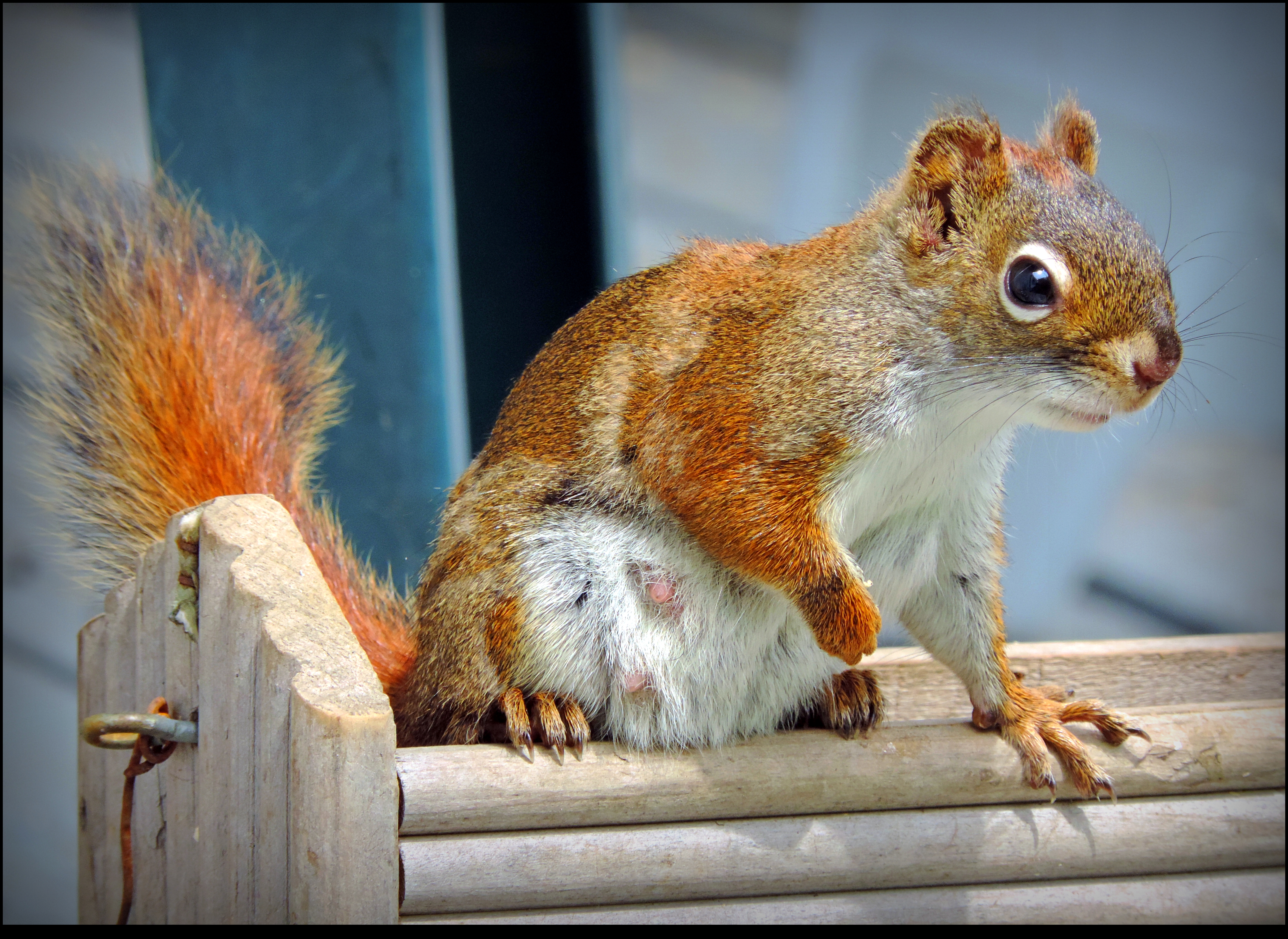 Very Young Mother