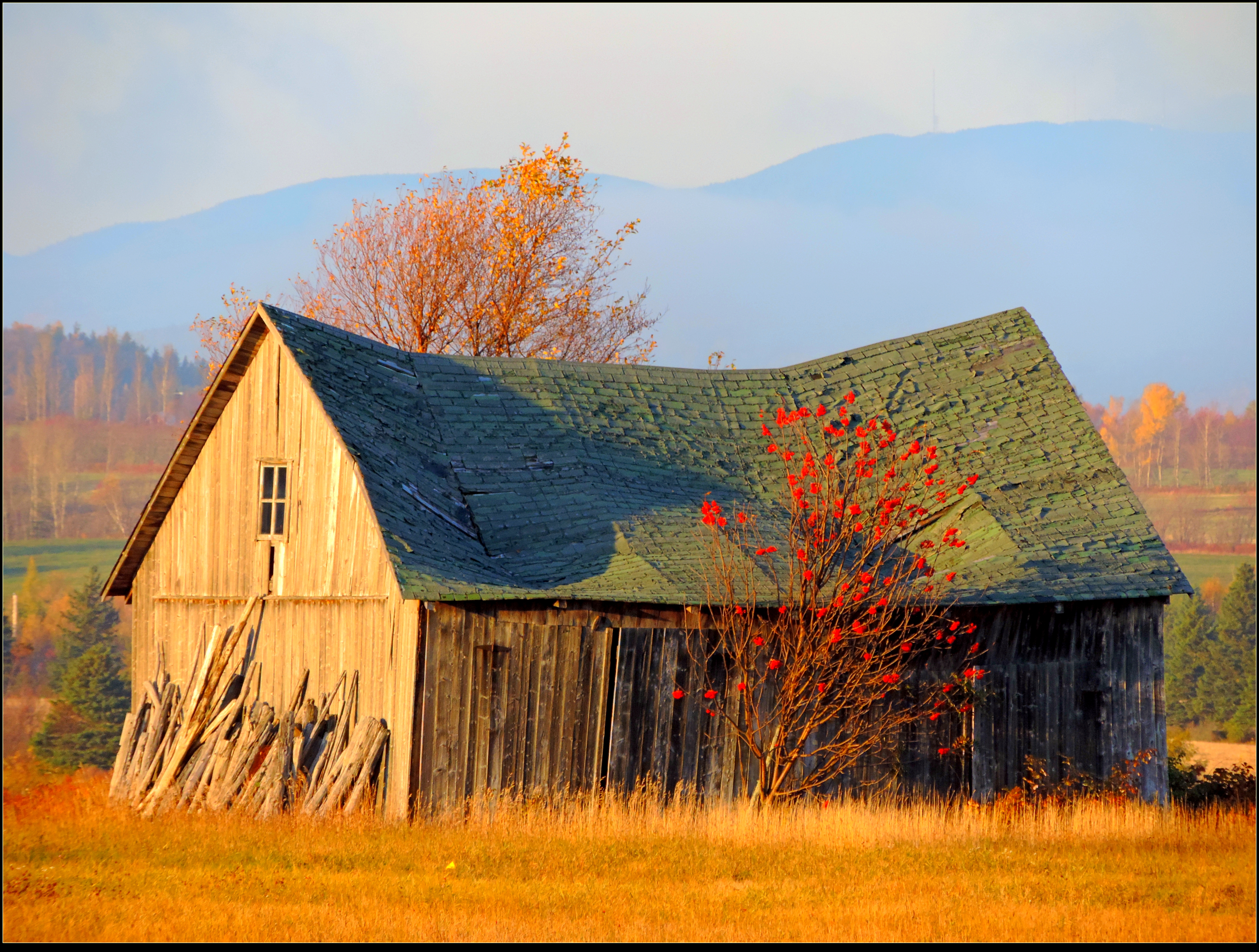 Abandoned Barn