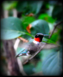 In Flight