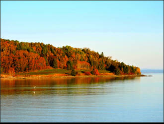 Top Of a Bay At High Tide