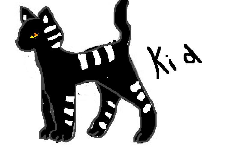 Kid as a Cat