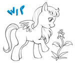 Mlp new generation - Star floret wip by CristianoReina