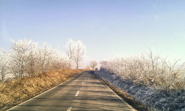 Frosty road...