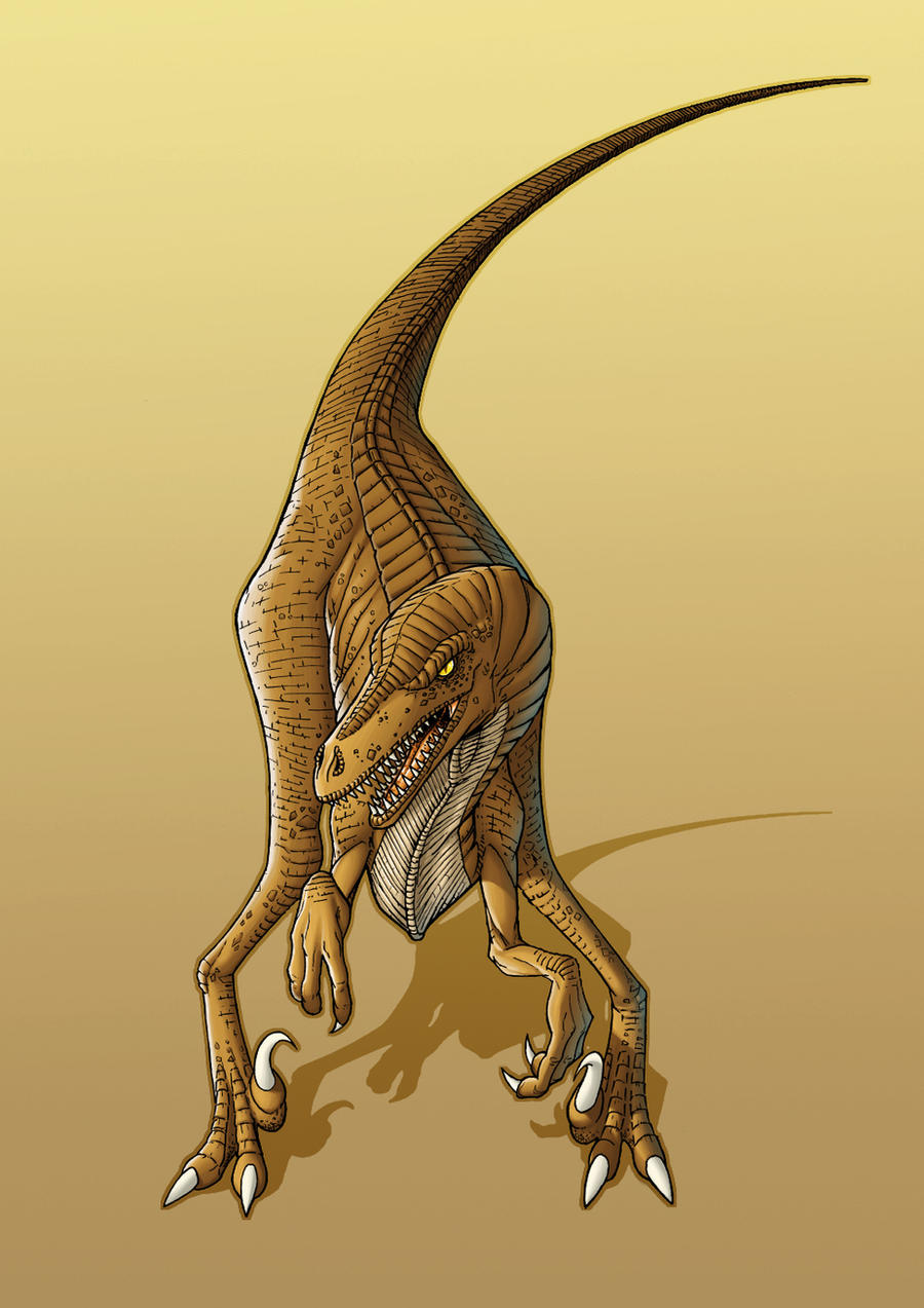Raptor by thejagman22 on DeviantArt