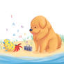 Dog and Crab