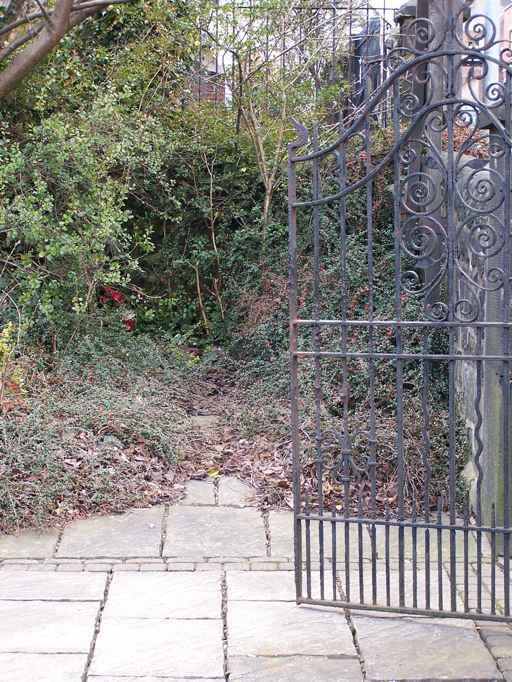 Gate and Foliage