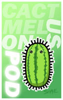Cactus Melon - Pod