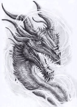 Dragon tattoo design
