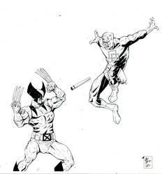 Wolverine Vs Daredevil