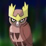 Noctowl stare