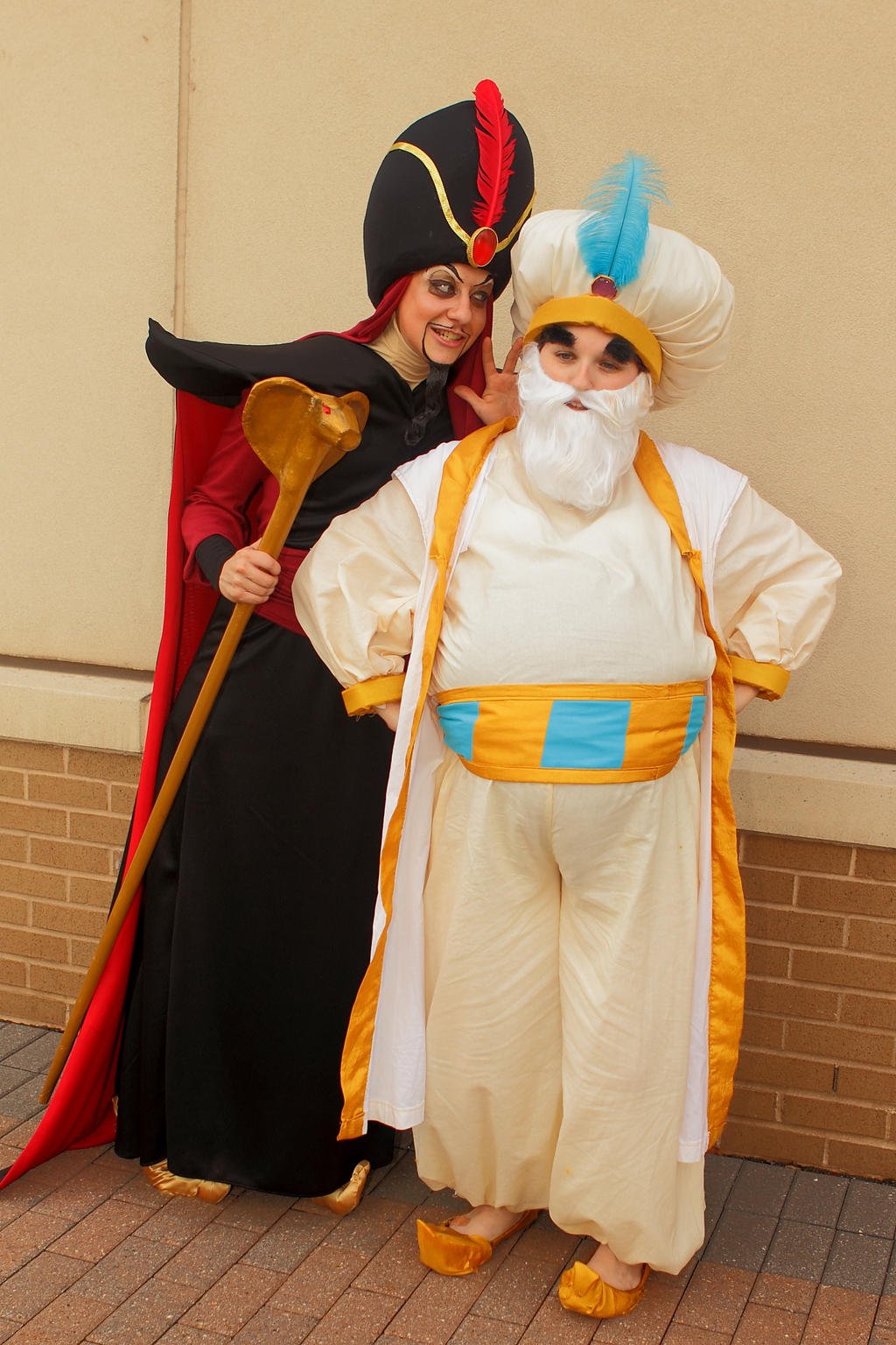 Jafar influences the Sultan