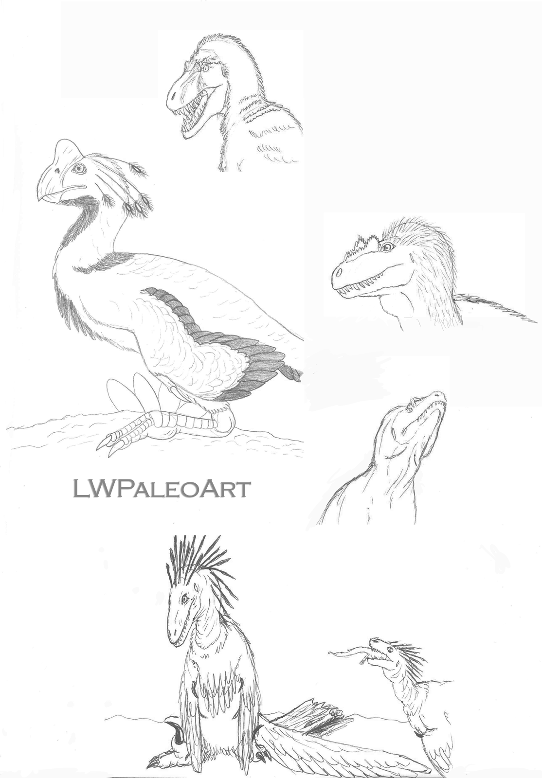 Theropod Sketches 1