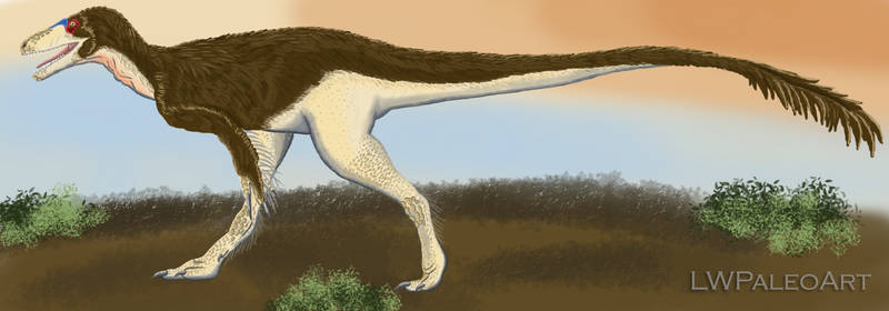 Mega Raptidon Explore the Best Megaraptorid Art | DeviantArt