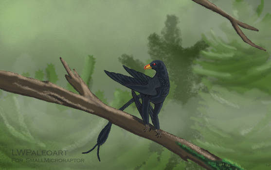 Microraptor on a branch for SmallMicroraptor