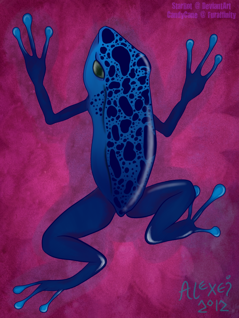 January: Blue Poison Dart Frog