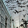 Toronto Eaton Centre's geese