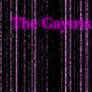 the Gaytrix:P