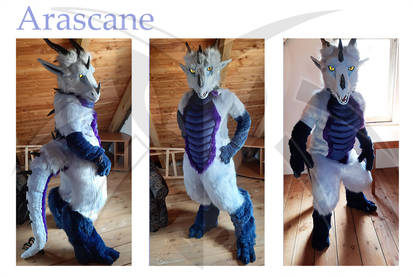 Arascane Fullsuit