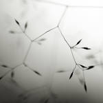 Connexions by Karine-Despeaux