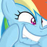 Happy Dashie