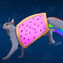 Nyan Cat!