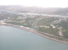 Wellington Motorway Aerial