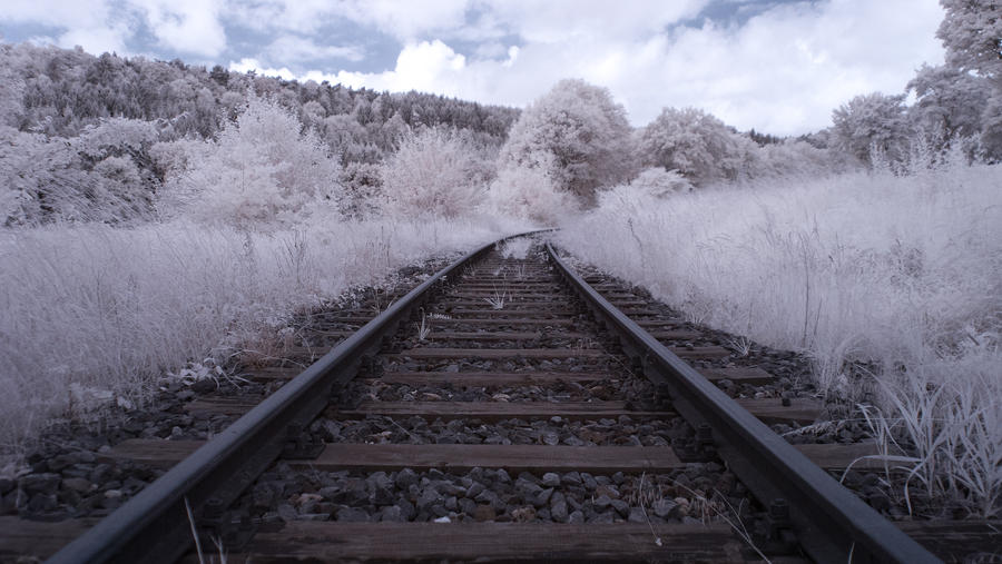 On Rails by jant-photo On Rails by jant-photo