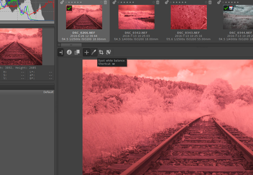 1step by jant-photo 1step by jant-photo