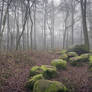 The Megalithic Grave