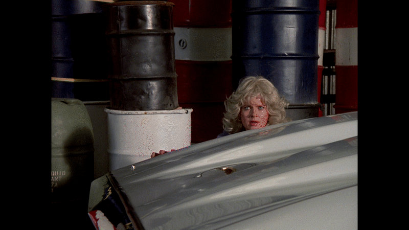 Knight rider Cat fight by catchooo on DeviantArt