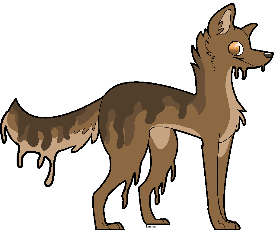 Nutella dog adoptable