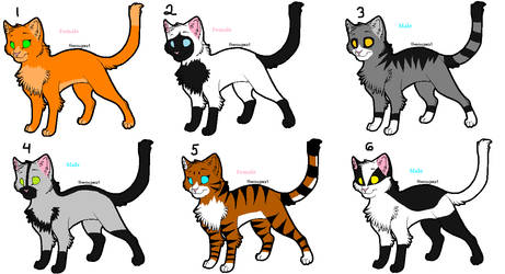 Warrior Cat Adoptables -CLOSED-