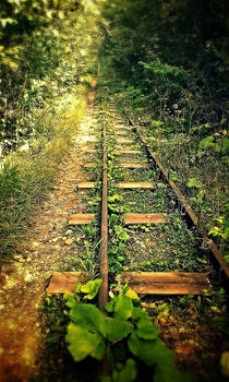 Road to nowhere. The Guam Gorge. Caucasus