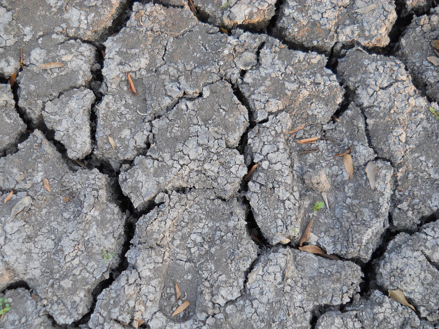 Cracks in the Mud