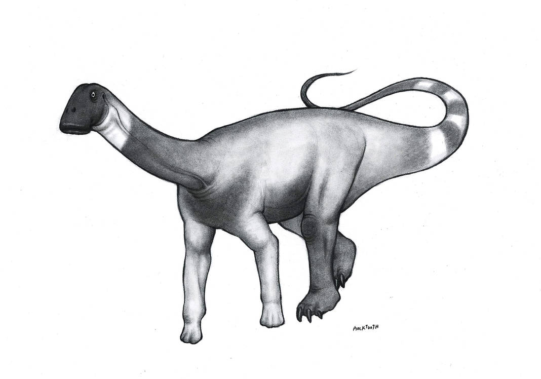 Nigersaurus by sagesprig on DeviantArt