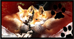 Red fox blend by Cassandratjuh