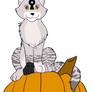 [CLOSED] Halloween Pumpkin Cat YCH