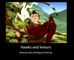 hawks and lemurs