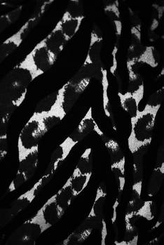 Texture - LeoZebra