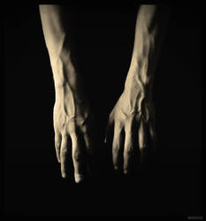 hands portrait