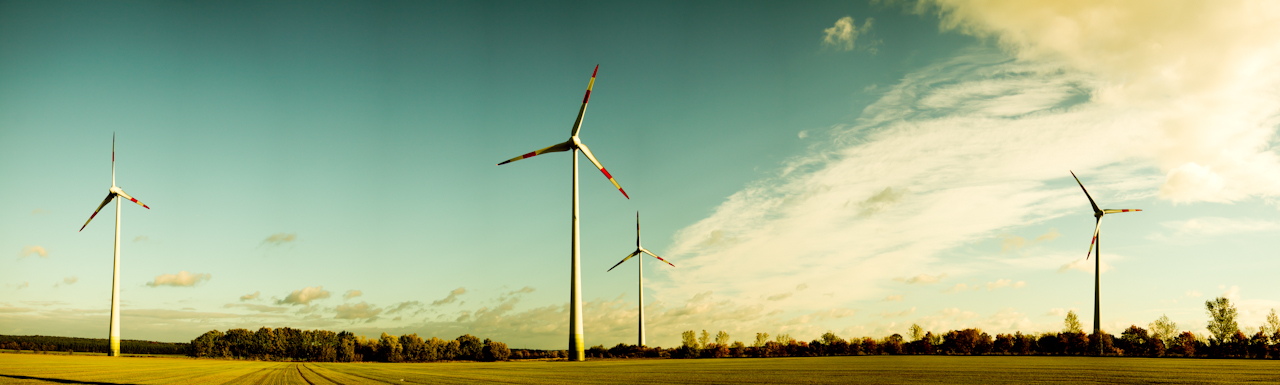 wind turbine park panorama